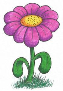 The Drawing Journey - Easy Flower Drawing - step by step