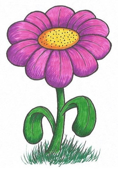 Simple Flower Drawing - Tutorial