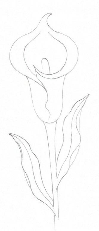 How to draw a lily - Step fourteen