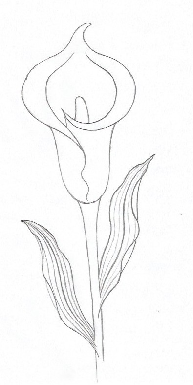 Radiant Easter Lily Drawing – ShareFaith Media